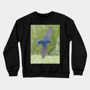 Barn Swallow in Flight Crewneck Sweatshirt